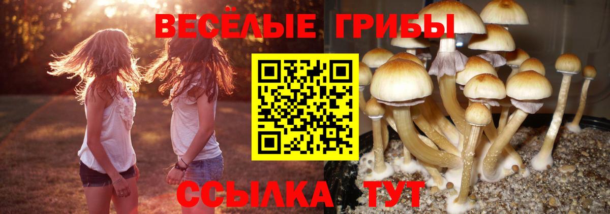 Галлюциногенные грибы мицелий Зерноград