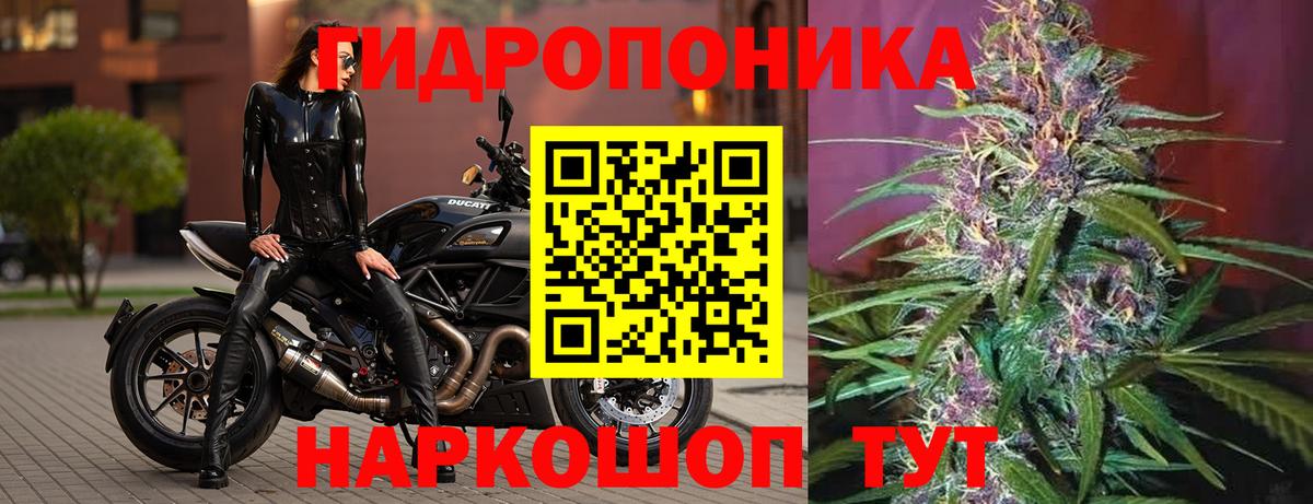 Зерноград  Каннабис конопля  Шишки марихуана SATIVA & INDICA  Бошки марихуана сатива  Вход с VPN  Марихуана гибрид 